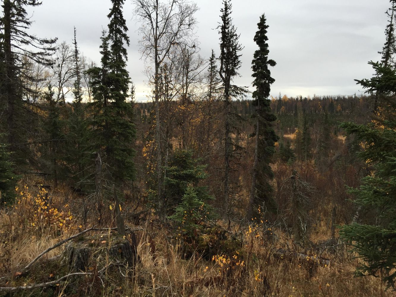 63885 Tailwind Rd, Ninilchik, AK 99639